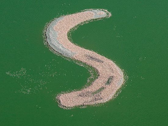 Palsu Sih, Tapi Luar Biasa Indah Dan Mengagumkan